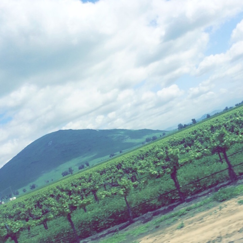 Meet your Posher, Erik